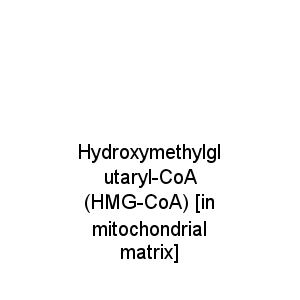 Hydroxymethylglutaryl-CoA (HMG-CoA) [in mitochondrial matrix]